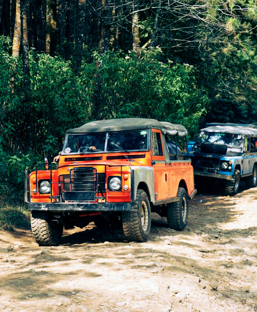 Kolumna samochodów terenowych jadących leśną drogą, otoczona gęstą zieloną roślinnością.