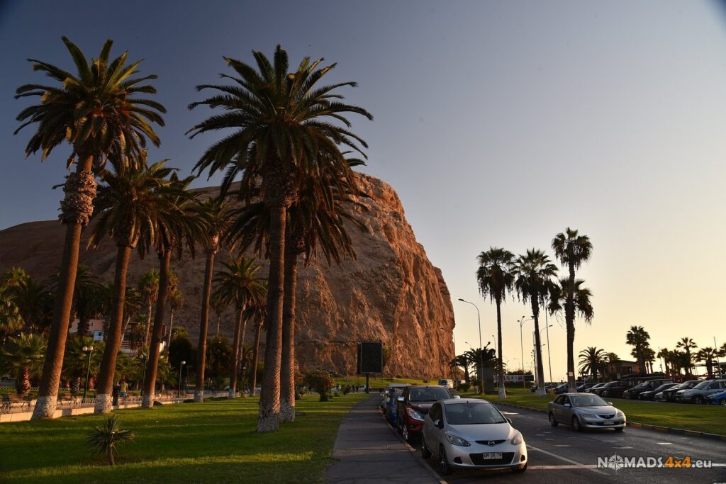 Ulica z palmami i wysoką skałą w nadmorskim mieście